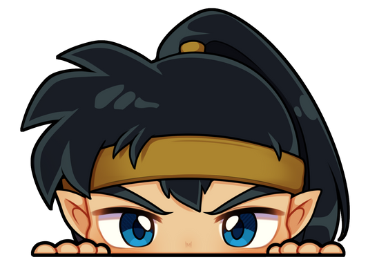 Koga Car Decal
